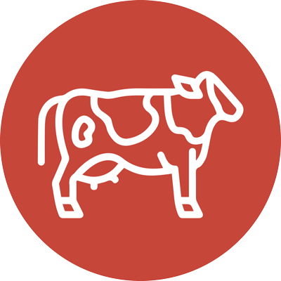 cow-icon